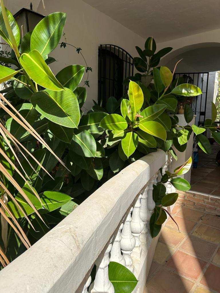 Monte Cielo Nerja Exterior foto